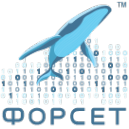 Логотип компании ФОРСЕТ