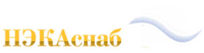 Логотип компании НЭКАснаб