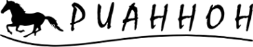 Логотип компании Рианнон