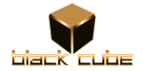 Логотип компании Black Cube