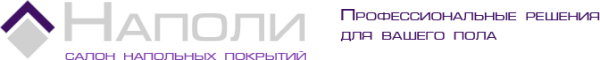 Логотип компании НАПОЛИ
