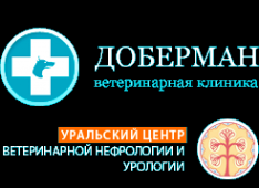 Логотип компании Доберман