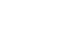 Diseli.ru