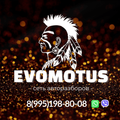 Авторазбор Эвомотус