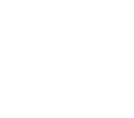 Логотип компании Diseli.ru