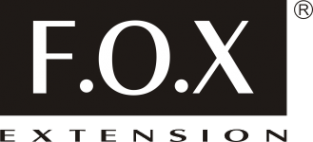 Логотип компании Extreme look