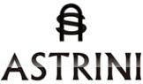 Логотип компании Астрини