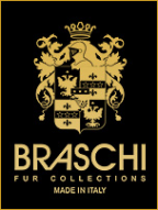 Логотип компании Braschi