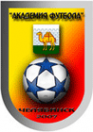 Логотип компании Академия футбола