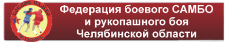 Логотип компании Городская федерация самбо