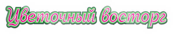 Логотип компании Цветочный восторг