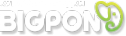 Логотип компании BIGPON.RU