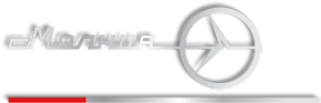 Логотип компании Молния ПАО