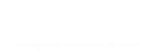 Логотип компании Пассажироff