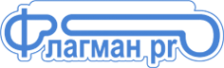 Логотип компании Флагманпро
