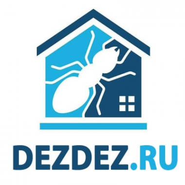 Логотип компании DezDez.ru (Челябинск) Логотип компании DezDez.ru (Челябинск)