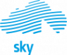 Логотип компании SkyComp