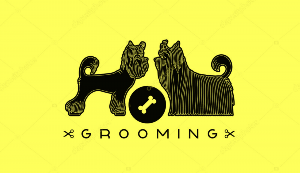 Логотип компании Студия груминга